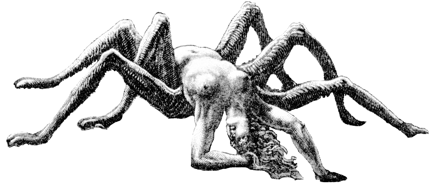 arachne image